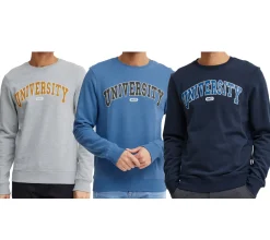Pullover & Sweater*11 PROJECT Davin Herren Sweater mit UNIVERSITY Frontprint Baumwoll-Sweatshirt 20715943 in Dunkelblau, Grau oder Blau