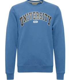 Pullover & Sweater*11 PROJECT Davin Herren Sweater mit UNIVERSITY Frontprint Baumwoll-Sweatshirt 20715943 194039 Blau