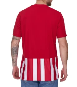 T-Shirts & Tank Tops|Sportoberbekleidung*adidas Striped 21 Herren Sport-Shirt nachhaltiges Trainings-Shirt mit AEROREADY-Technologie gestreiftes Fitness-Oberteil GN7624 Rot/Weiß