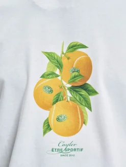 T-Shirts & Tank Tops*CAYLER & SONS Vitamine Tennis Tee weiß