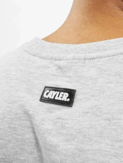 T-Shirts & Tank Tops*CAYLER & SONS  WL Northern Lines Tee hellgrau/mc