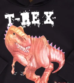 Pullover & Sweater*DINO WORLD Kinder Pullover für Jungen Baumwoll-Hoodie mit Dino-Print Kapuzen-Pullover Sweatshirt 27303360 Schwarz