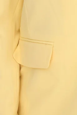 Blazer & Sakko*AjC 2er Sparpack Damen Blazer hüftlanger Boyfriend-Blazer mit Innenfutter und Ein-Knopf-Verschluss 53438757 Gelb