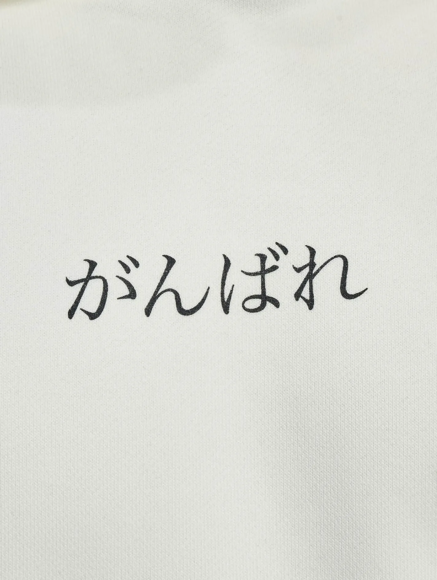 Pullover & Sweater*Fokus x Def Japan Hoody Ready For Dye