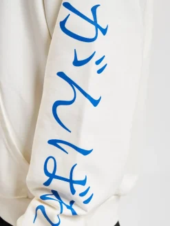 Sweater & Pullover|Pullover & Sweater*Fokus x Def World Hoodies bereit zum Färben/Kobaltblau