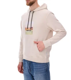 Pullover & Sweater*Jack & Jones Esterbro Newton Herren Kapuzen-Pullover Baumwoll-Pullover mit Originals Studio Print 12266801 Beige