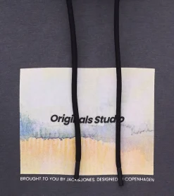 Pullover & Sweater*Jack & Jones Esterbro Newton Herren Kapuzen-Pullover Baumwoll-Pullover mit Originals Studio Print 12266801 Grau