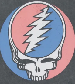 T-Shirts & Tank Tops*RE:COVERED X Grateful Dead Herren T-Shirt mit großem Bandlogo Baumwoll-Shirt Kurzarm-Shirt RCWBROS169 Grau